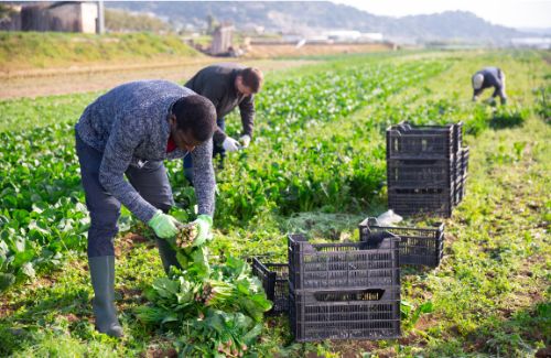 worker-page-img-slide-4